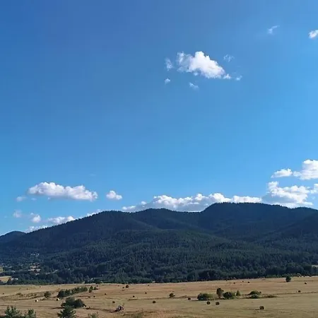 атолука *