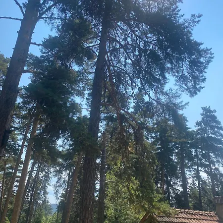 атолука Holiday home *